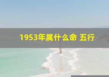 1953年属什么命 五行